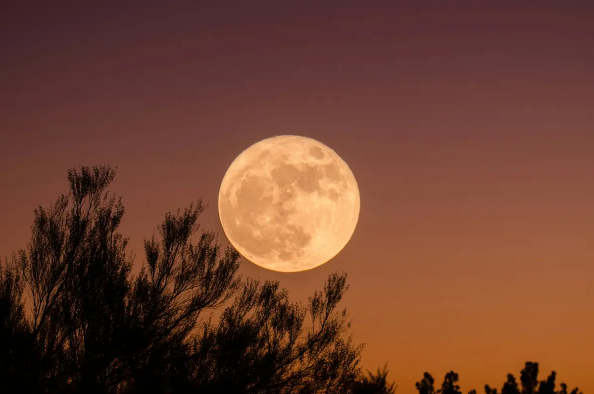 Apa Itu Supermoon? Penjelasan Ilmiah dan Dampak bagi Bumi
