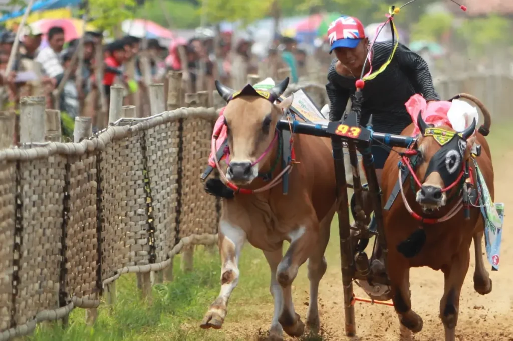 Pulau Madura dan Daya Tariknya: Budaya, Pantai, hingga Batik Khas