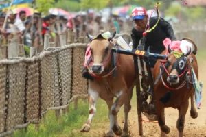 Pulau Madura dan Daya Tariknya: Budaya, Pantai, hingga Batik Khas