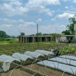 Wisata Kota Batu : Alam, Gunung, dan Kota Apel di Jawa Timur