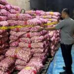Terbongkar! Puluhan Ton Bawang Ilegal Disita di Pontianak, Diduga Masuk dari Malaysia