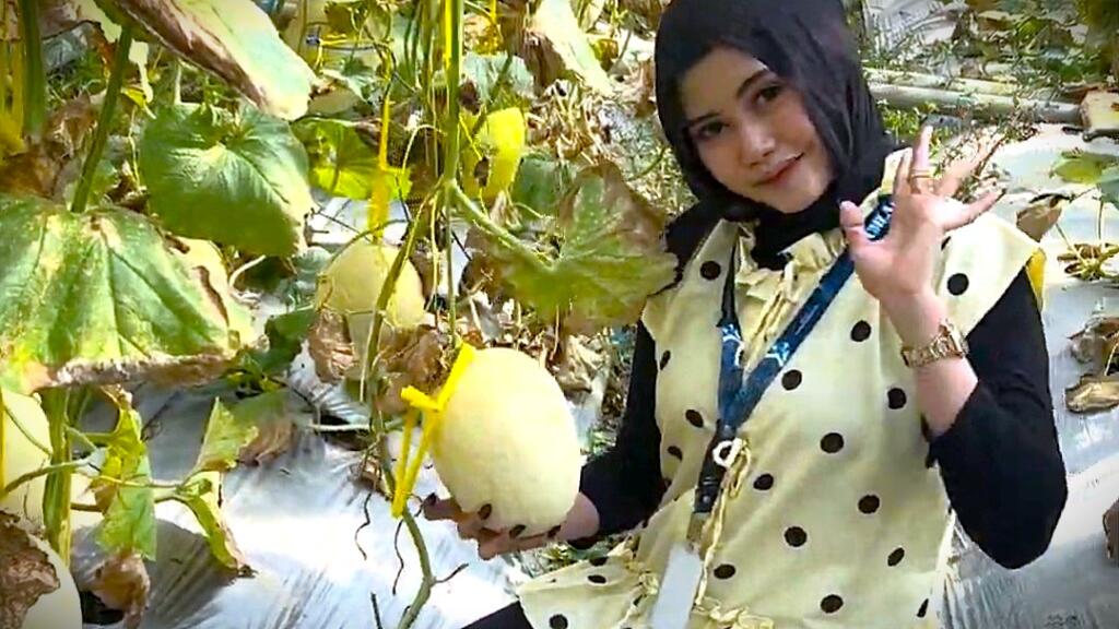 Digital Marketing Jadi Strategi KKN Umla Kelompok 24 Promosikan Green House Rumah Tani