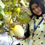 Digital Marketing Jadi Strategi KKN Umla Kelompok 24 Promosikan Green House Rumah Tani